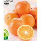 HOFER Marktplatz Orangen HOFER 2 Kilogramm 1 Netz