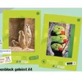 Edition Dürer Zeichenblock geleimt A4 18 Blatt versch. Motive Maximarkt 1 Stück