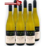 Rabl Grüner Veltliner Erde & Stein BILLA PLUS 0.75 Liter 1 Flasche