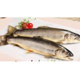 Gut Dornau Bachsaibling INTERSPAR 100 Gramm