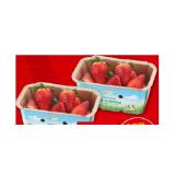 Spar Natur pur Bio-Erdbeeren INTERSPAR 300 Gramm 1 Packung