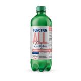 Radenska Functional Water Antistress oder Collagen INTERSPAR 0.50 Liter 1 Flasche