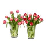 Tulpen gefüllt Lidl 10 Stück