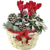 Winterkorb klein, Preisangabe ohne MwSt. (Preis inkl. MwSt. 17,96 €), METRO 1 Stück