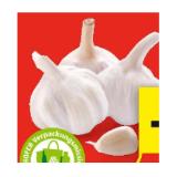 Promotion Bild von Zurück zum Ursprung Bio-Knoblauch aus Österreich HOFER 150 Gramm 1 Netz