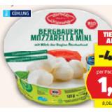 Zurück zum Ursprung Bio-Bergbauern Mozzarella Mini HOFER 125 Gramm 1 Packung