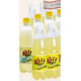 Alfi fit oder fit g'spritzt SPAR 0.50 Liter 1 Flasche
