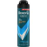 Bild von Rexona Non Stop Protection 72h Deospray div. Sorten dm 150 Milliliter 1 Stück