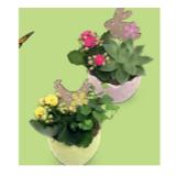 Oster-Arrangement Keramiktopf HOFER 1 Stück