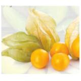 Promotion Bild von HOFER Marktplatz Physalis HOFER 200 Gramm 1 Packung