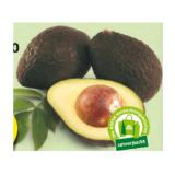 HOFER Marktplatz Bio-Avocado HOFER 1 Stück