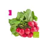 Ja! Natürlich Bio Radieschen Sutterlüty 1 Bund