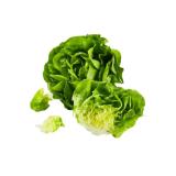 Häuptelsalat aus Österreich Lidl 1 Stück