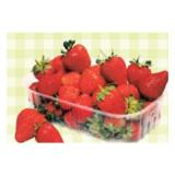 Erdbeeren Maximarkt 500 Gramm 1 Packung