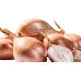 SPAR wie früher Bio-Schalotten Edition Stekovics EUROSPAR 200 Gramm 1 Netz