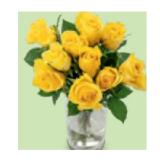 Rosen Fairtrade verschiedene Blütenfarben HOFER 10 Stück