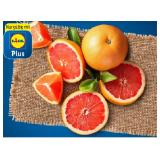 Grapefruit Lidl APP Preis 1 Stück