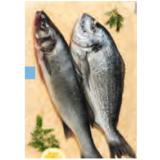Bild von Bio-Goldbrasse od. -Wolfsbarsch BILLA PLUS 100 Gramm
