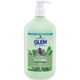 Glem Vital Shampoo div. Sorten, Preisangabe ohne MwSt. (Preis inkl. MwSt. 5,99 €), METRO 750 Milliliter 1 Flasche