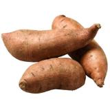 Promotion Bild von Echt Bio Süsskartoffeln jö Bonus Club Preis Penny 1 Kilogramm