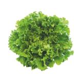 Spar Natur pur frischer Bio-Gentilina SPAR Gourmet 1 Stück