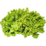 Gentile Salat MPREIS 1 Stück
