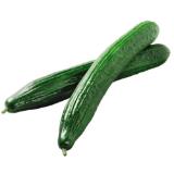 Gurke Penny 1 Stück