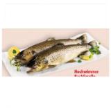 Bild von Hochwimmer Bachforelle INTERSPAR 100 Gramm