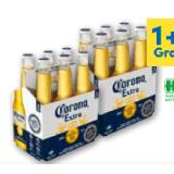 Corona Extra T&G 0.35 Liter 6 Stück