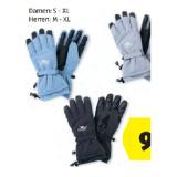 Crane Premium Damen-/Herren Skihandschuhe HOFER 1 Paar