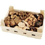 Waldpilzmischung, Preisangabe ohne MwSt. (Preis inkl. MwSt. 17,59 €), METRO 1 Kilogramm