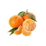 Mandarinen mit Blatt Lidl 1 Kilogramm