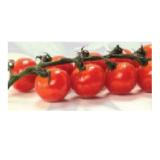 Promotion Bild von Zurück zum Ursprung Bio-Rispencherrytomaten aus Österreich HOFER 200 Gramm 1 Packung