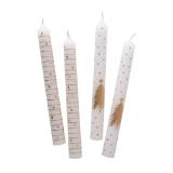 mömax Stabkerzen „LIVIA“ 48852710 mömax 4 Stück