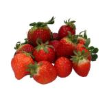 Premium Erdbeeren Candonga MPREIS 350 Gramm 1 Packung