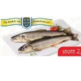 Gut Dornau Bachforelle SPAR Gourmet 100 Gramm