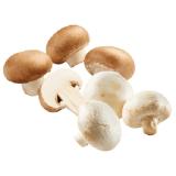 Champignons weiß oder braun Lidl 500 Gramm