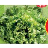 HOFER Marktplatz Bio-Spezialsalat aus Österreich HOFER 1 Stück