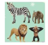 Schleich 42721 Afrika Starter-Set maxi.preisjoker Maximarkt 1 Set
