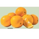 Orangen Maximarkt 1 Kilogramm 1 Netz