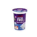 Promotion Bild von Alpengut Laktosefreies Naturjoghurt Lidl 250 Gramm 1 Becher