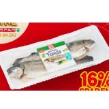 S-BUDGET Regenbogen-Forelle INTERSPAR 2 Stück