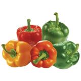 Paprika Mix Lidl 500 Gramm