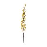 FORSYTHIEN, H: 110CM 50790012 XXXLutz 1 Stück