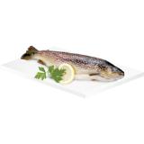 Bachforelle, Preisangabe ohne MwSt. (Preis inkl. MwSt. 16,49 €), METRO 1 Kilogramm