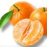 Clementinen T&G 1 Kilogramm 1 Netz