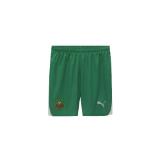 Bild von PUMA SK Rapid Wien Heimshorts Kinder Krone Vorteilswelt 1 Stück