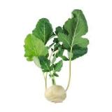 Ja! Natürlich Bio-Kohlrabi BILLA PLUS 1 Stück