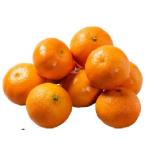 Marktliebe Mandarinen jö Bonus Club Preis Penny 1.50 Kilogramm 1 Netz