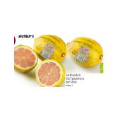 Ja! Natürlich Bio Tigerzitrone Sutterlüty 1 Stück